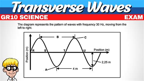 what is a transverse wave in physics grade 10