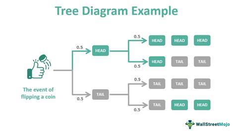 what is a tree diagram