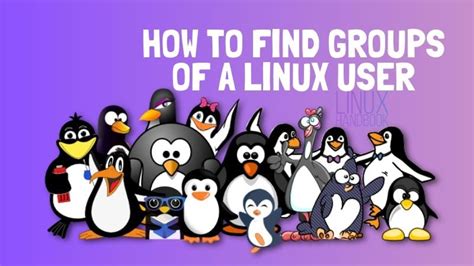 what is a user group in linux
