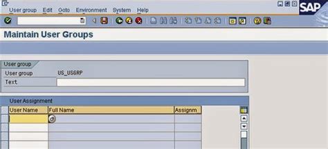what is a user group in sap