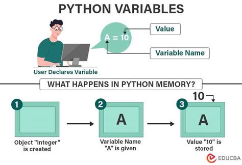 what is a variable in python programming