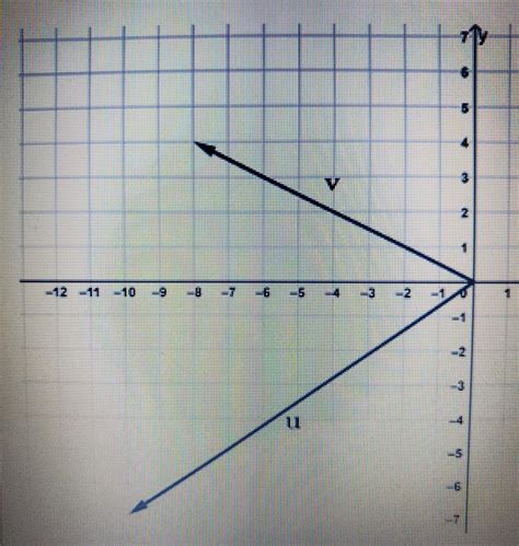 what is a vector graph
