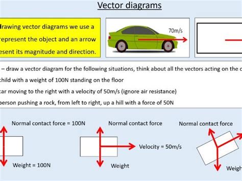 what is a vector in physics gcse