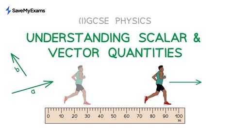 what is a vector quantity gcse