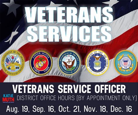 what is a vso officer