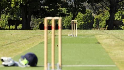 what is a wicket in cricket