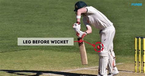 what is a wicket in cricket rules