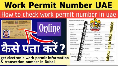 what is a work permit number