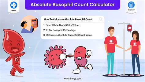 what is absolute basophils in blood work