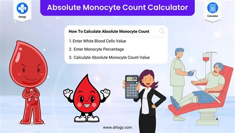 what is absolute monocyte count in blood work