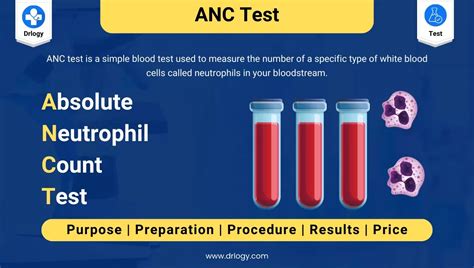 what is absolute neut count in blood test