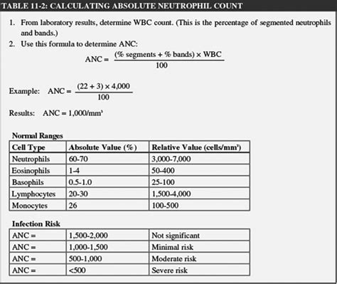 what is absolute neutrophil count in blood work
