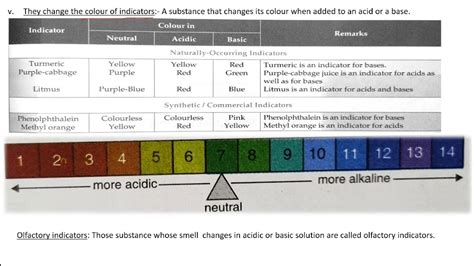 what is acid base indicator class 10th