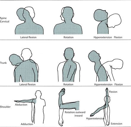 what is active and passive exercise in nursing