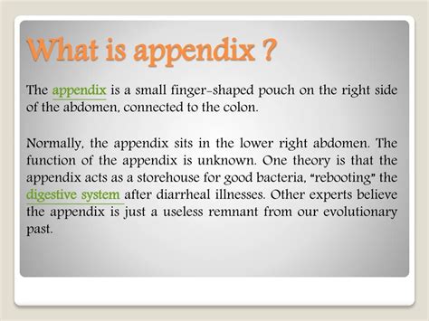 what is an appendix in a presentation