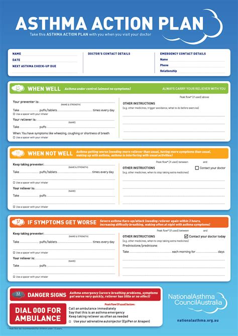 what is an asthma action plan example