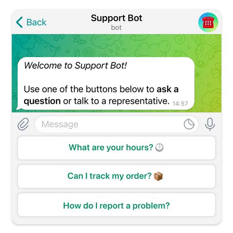 what is an example of a bot