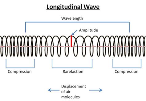 what is an example of a longitudinal wave