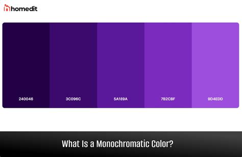 what is an example of a monochromatic color scheme
