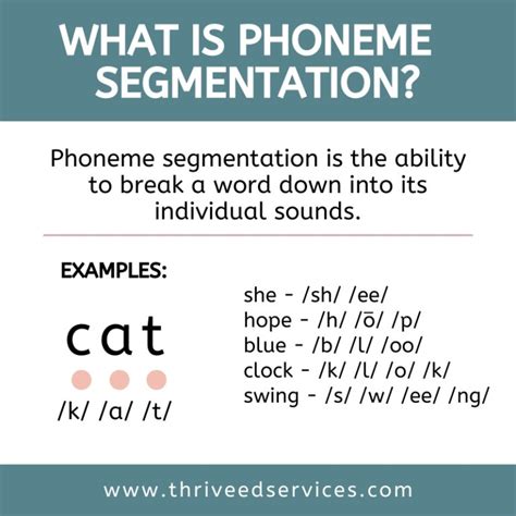 what is an example of a segment word