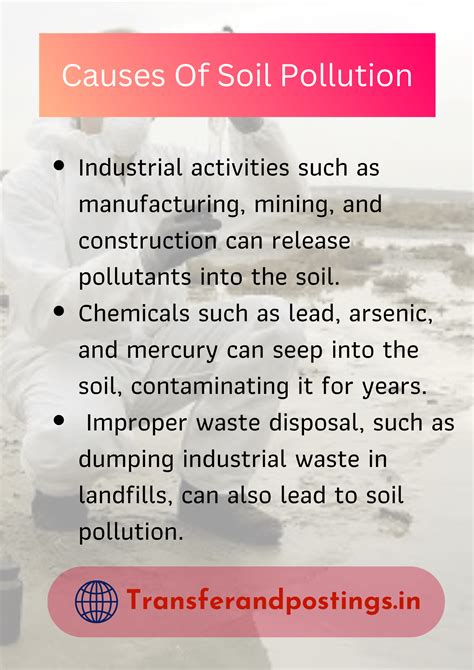 what is an example of effect of soil pollution