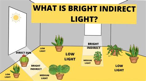 what is an example of indirect sunlight