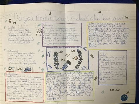 what is an explanation text year 5