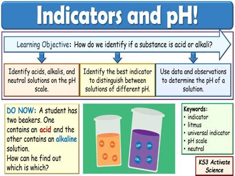 what is an indicator in science ks3