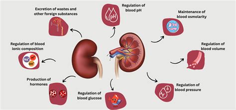 what is an indicator of poor kidney function