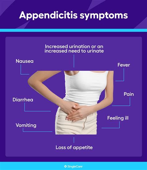 what is appendix called in punjabi