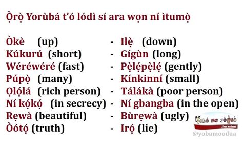 what is appendix called in yoruba language