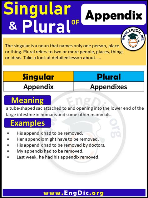 what is appendix in plural form