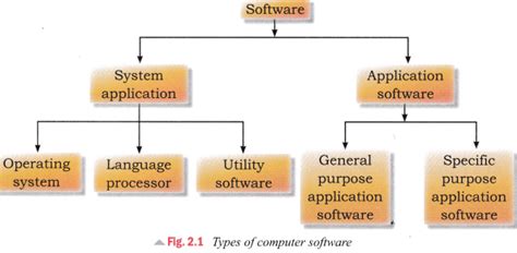what is application software for class 5th