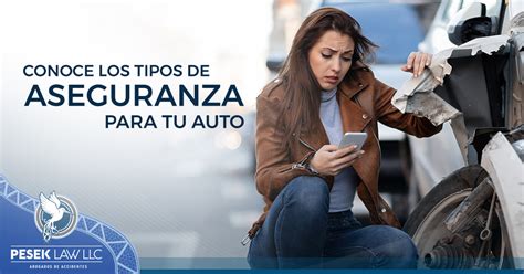 what is aseguranza in english