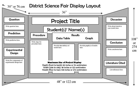what is background information for a science project