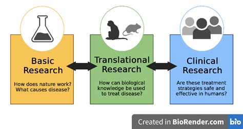 what is basic applied and translational research
