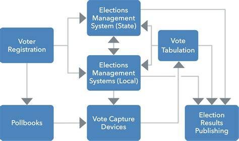 what is basic election structure