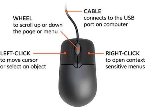 what is basic function of computer mouse
