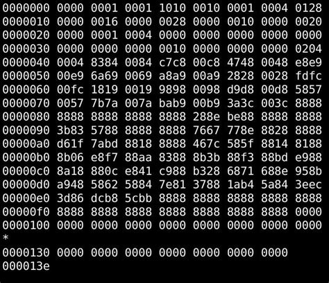 what is binary file format