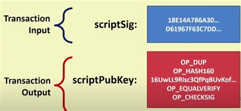 what is bitcoin script