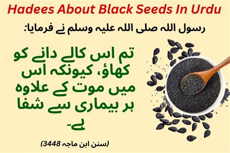 what is black seeds in urdu