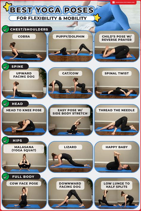 what is body flexibility