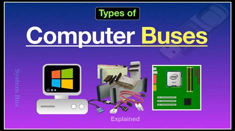 what is bus and its types in computer