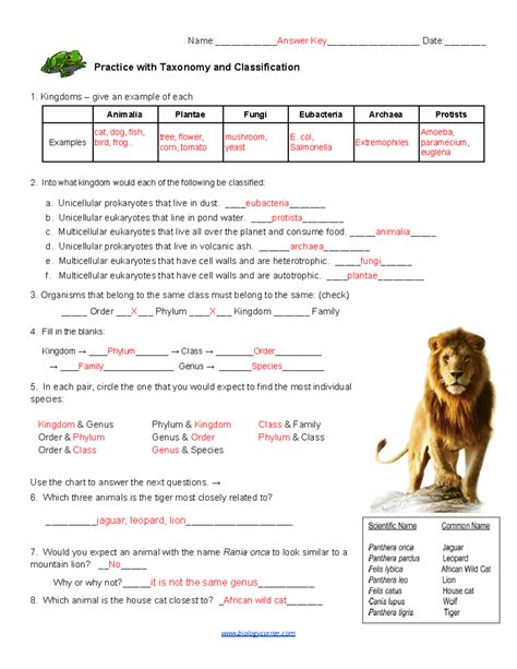 what is classification short answer
