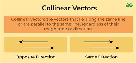 what is collinear vector in physics class 11