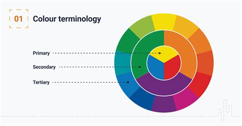 what is colour theory in ui ux design