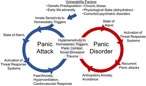 what is considered severe panic disorder