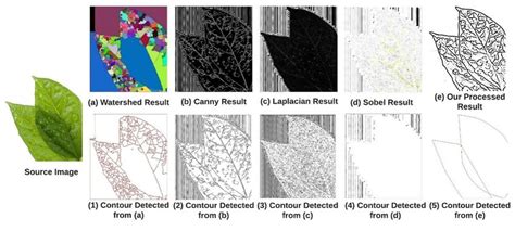 what is contour detection in image processing