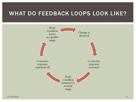 what is corrective feedback loop