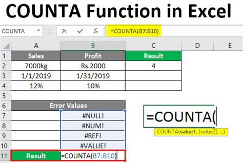 what is counta function in excel with example